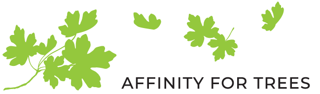 Affinity for Trees